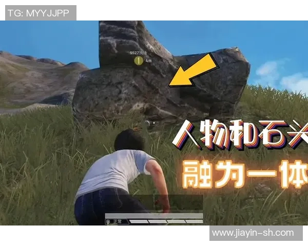 和平精英赛事中LNG团队协作的成功秘诀与战术解析 和平精英赛事中LNG团队协作的成功秘诀与战术解析